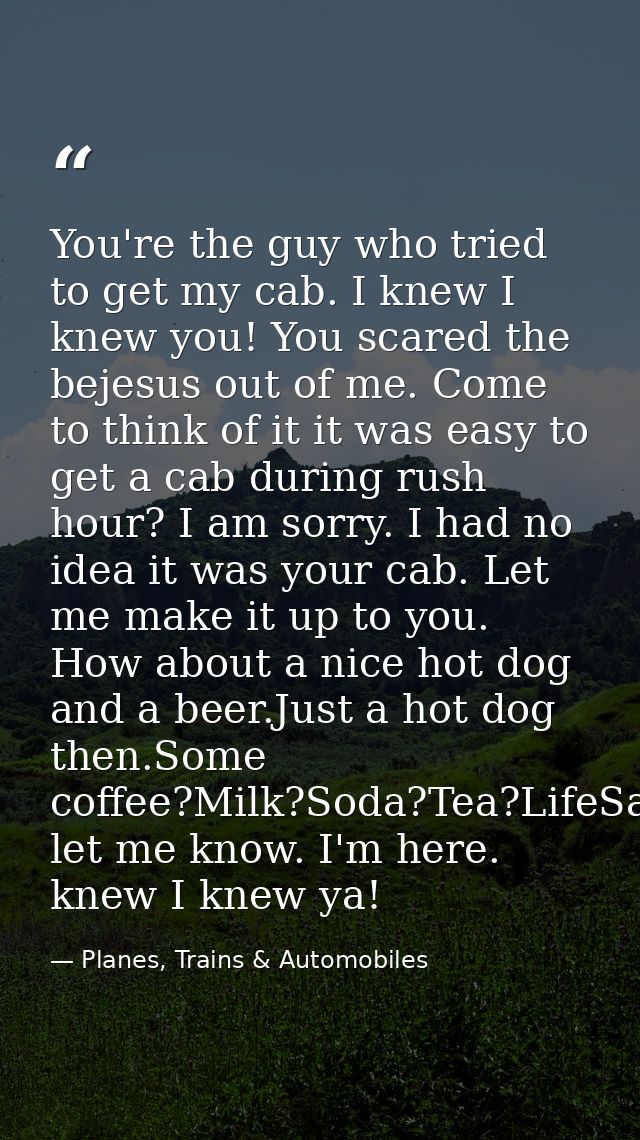 You're the guy who tried to get my cab. I knew I knew you! You scared the bejesus out of me. Come to think of it it was  — Planes, Trains & Automobiles