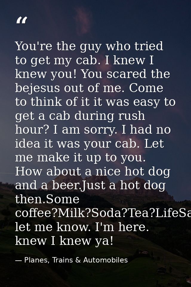 You're the guy who tried to get my cab. I knew I knew you! You scared the bejesus out of me. Come to think of it it was  — Planes, Trains & Automobiles
