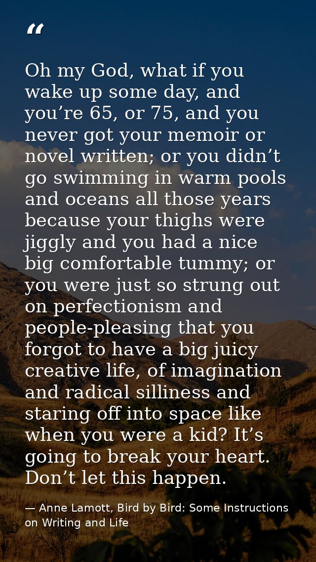 Oh my God, what if you wake up some day, and you’re 65, or 75, and you never got your memoir or novel written; or you di — Anne Lamott, Bird by Bird: Some Instructions on Writing and Life