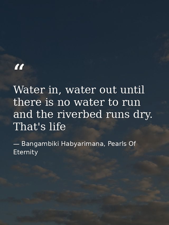 Water in, water out until there is no water to run and the riverbed runs dry. That's life — Bangambiki Habyarimana, Pearls Of Eternity
