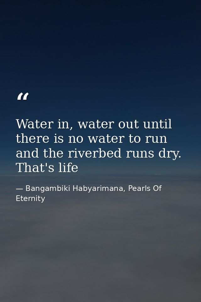 Water in, water out until there is no water to run and the riverbed runs dry. That's life — Bangambiki Habyarimana, Pearls Of Eternity