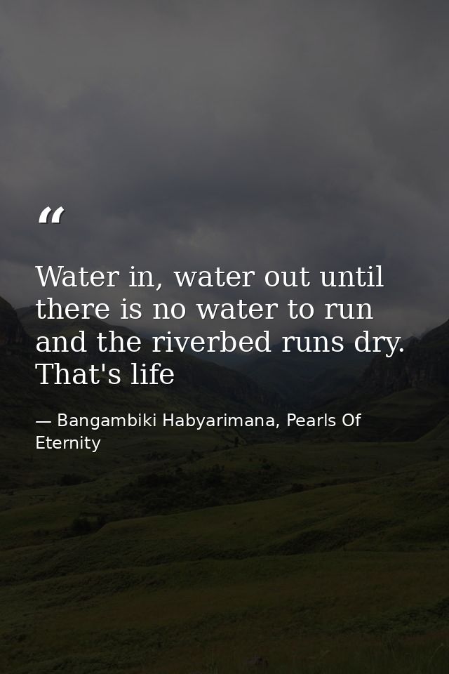 Water in, water out until there is no water to run and the riverbed runs dry. That's life — Bangambiki Habyarimana, Pearls Of Eternity
