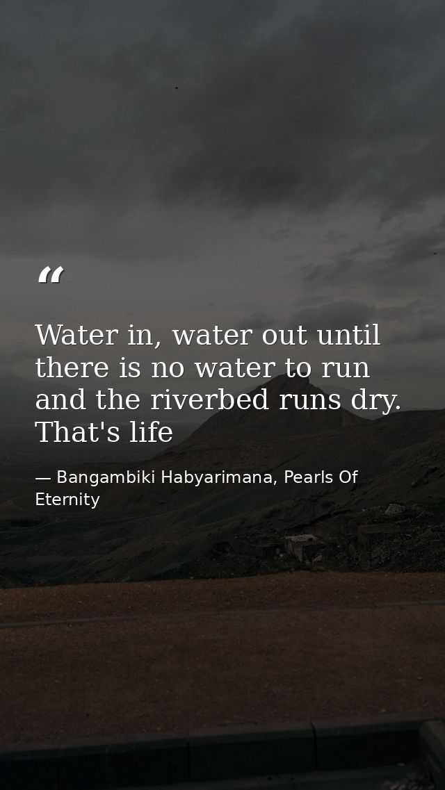 Water in, water out until there is no water to run and the riverbed runs dry. That's life — Bangambiki Habyarimana, Pearls Of Eternity