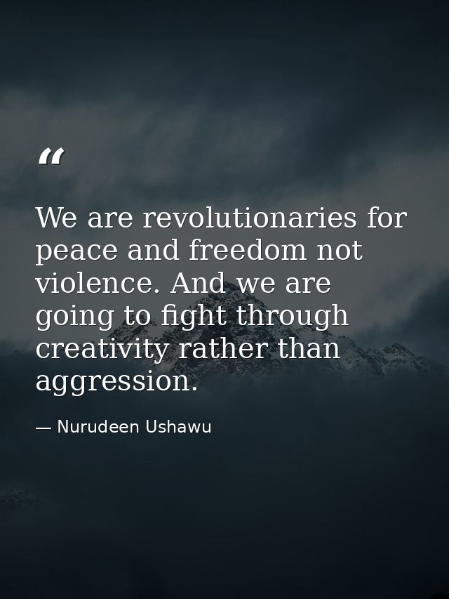 We are revolutionaries for peace and freedom not violence. And we are going to fight through creativity rather than aggr — Nurudeen Ushawu