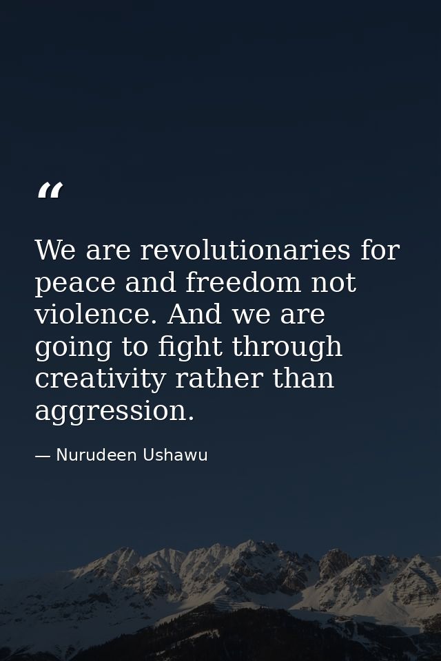 We are revolutionaries for peace and freedom not violence. And we are going to fight through creativity rather than aggr — Nurudeen Ushawu