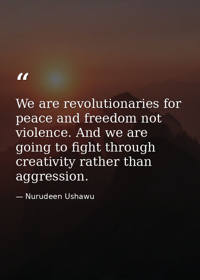 We are revolutionaries for peace and freedom not violence. And we are going to fight through creativity rather than aggr — Nurudeen Ushawu
