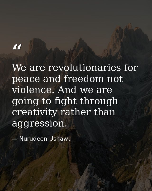 We are revolutionaries for peace and freedom not violence. And we are going to fight through creativity rather than aggr — Nurudeen Ushawu