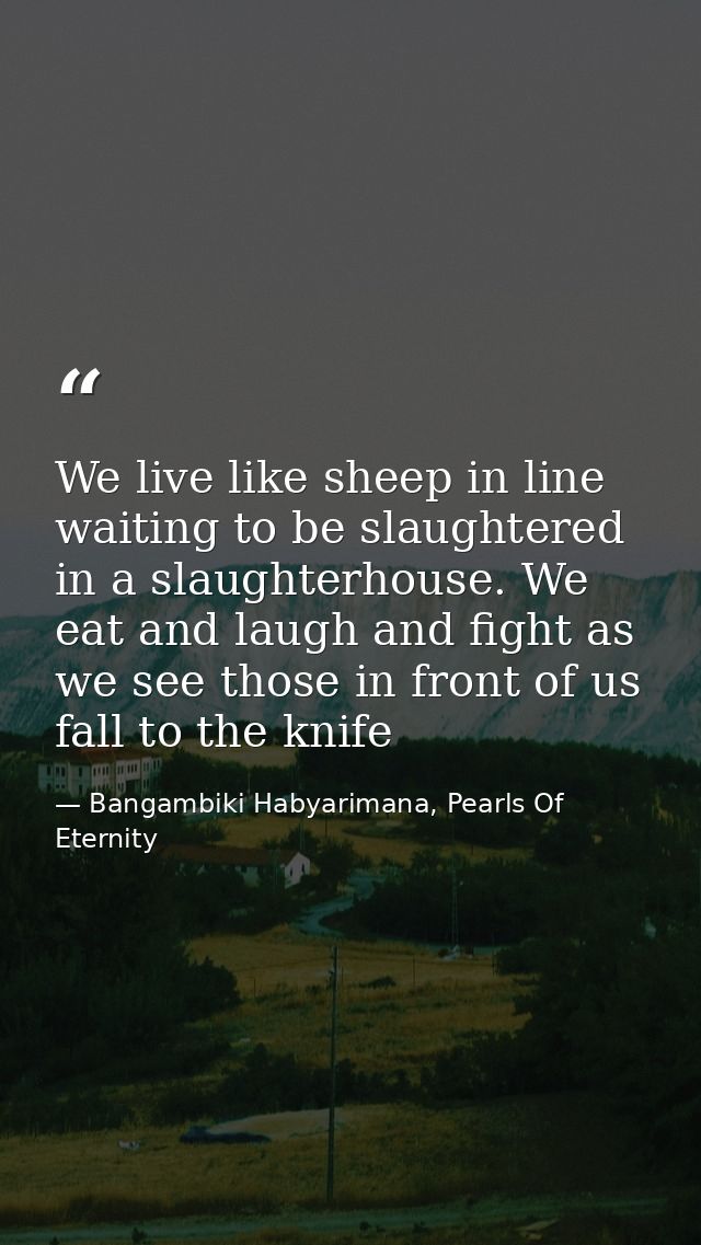 We live like sheep in line waiting to be slaughtered in a slaughterhouse. We eat and laugh and fight as we see those in  — Bangambiki Habyarimana, Pearls Of Eternity