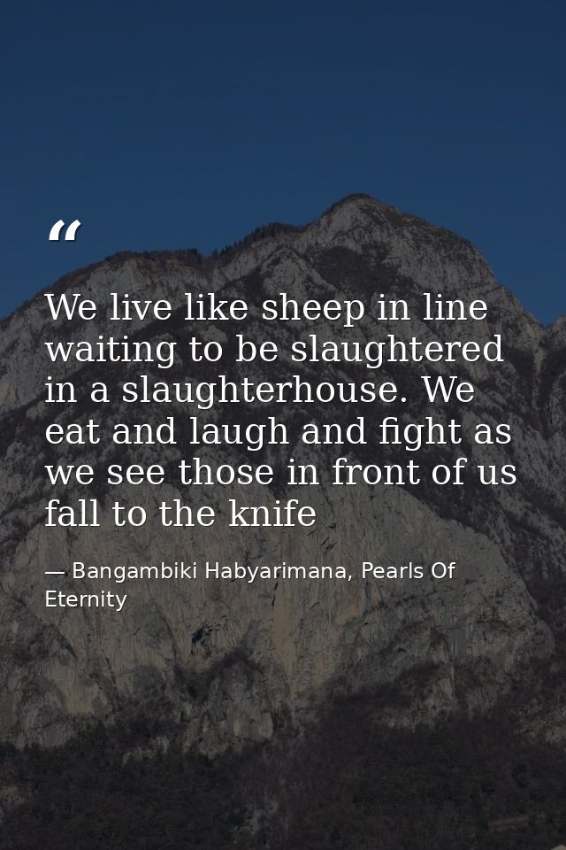We live like sheep in line waiting to be slaughtered in a slaughterhouse. We eat and laugh and fight as we see those in  — Bangambiki Habyarimana, Pearls Of Eternity