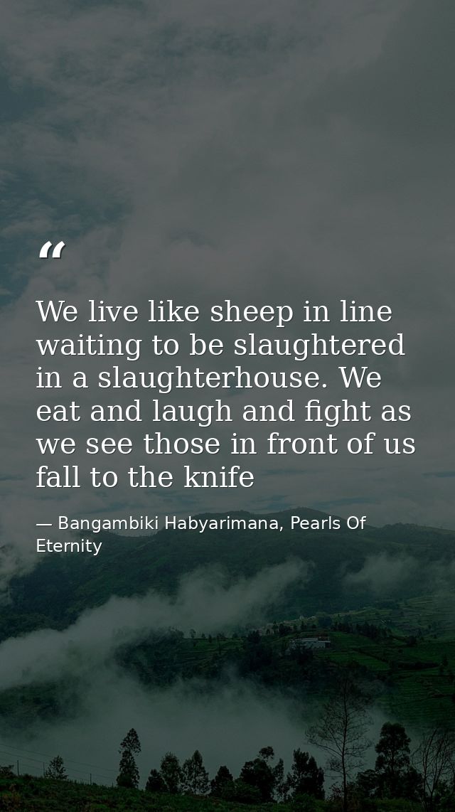 We live like sheep in line waiting to be slaughtered in a slaughterhouse. We eat and laugh and fight as we see those in  — Bangambiki Habyarimana, Pearls Of Eternity
