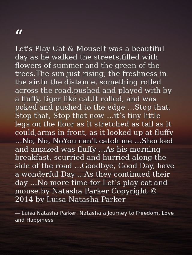 Let's Play Cat & MouseIt was a beautiful day as he walked the streets,filled with flowers of summer and the green of the — Luisa Natasha Parker, Natasha a Journey to Freedom, Love and Happiness