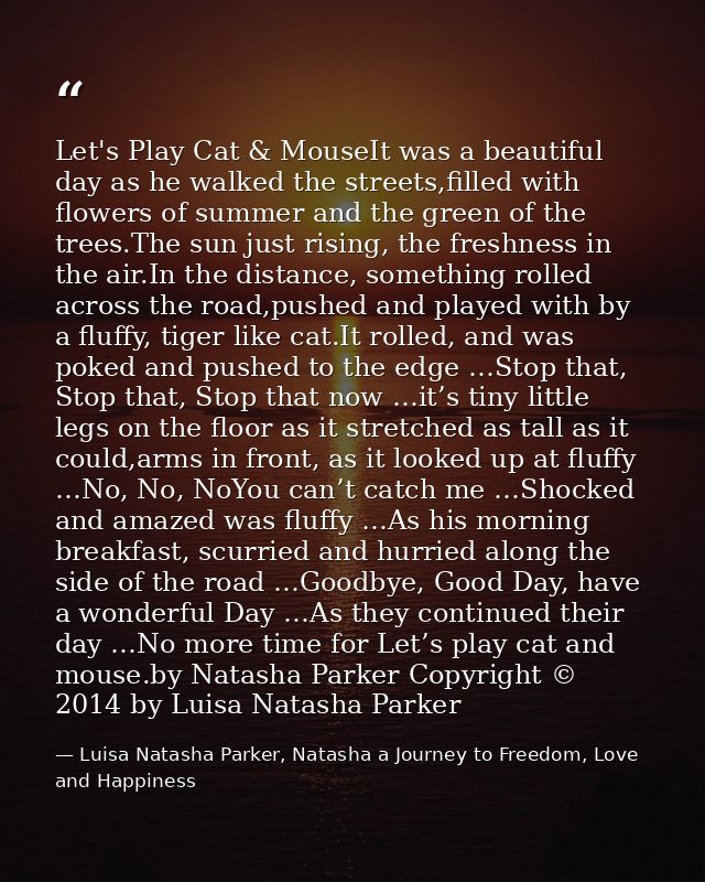 Let's Play Cat & MouseIt was a beautiful day as he walked the streets,filled with flowers of summer and the green of the — Luisa Natasha Parker, Natasha a Journey to Freedom, Love and Happiness