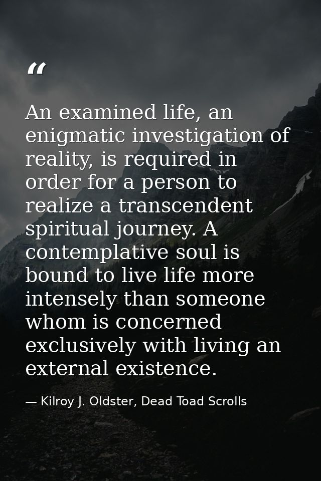 An examined life, an enigmatic investigation of reality, is required in order for a person to realize a transcendent spi — Kilroy J. Oldster, Dead Toad Scrolls