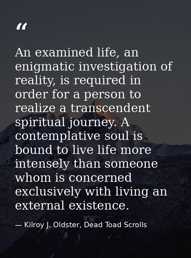 An examined life, an enigmatic investigation of reality, is required in order for a person to realize a transcendent spi — Kilroy J. Oldster, Dead Toad Scrolls