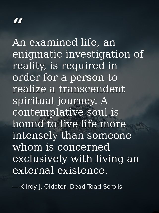 An examined life, an enigmatic investigation of reality, is required in order for a person to realize a transcendent spi — Kilroy J. Oldster, Dead Toad Scrolls