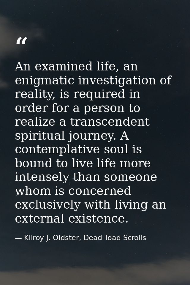 An examined life, an enigmatic investigation of reality, is required in order for a person to realize a transcendent spi — Kilroy J. Oldster, Dead Toad Scrolls