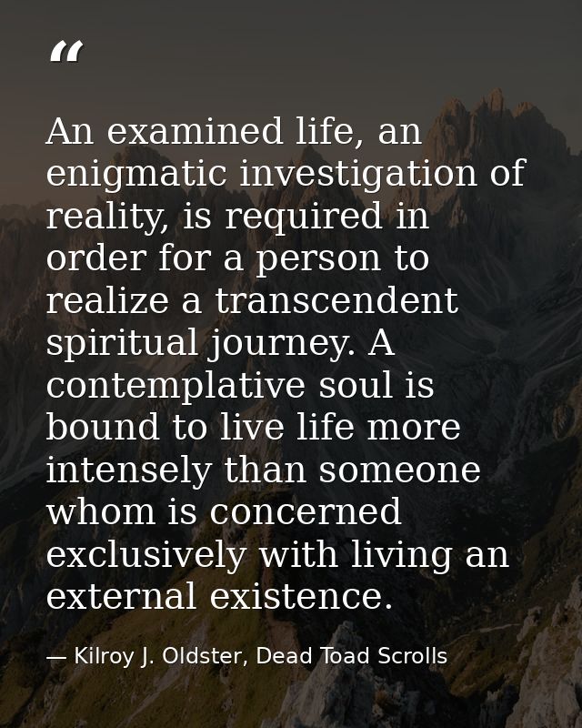 An examined life, an enigmatic investigation of reality, is required in order for a person to realize a transcendent spi — Kilroy J. Oldster, Dead Toad Scrolls
