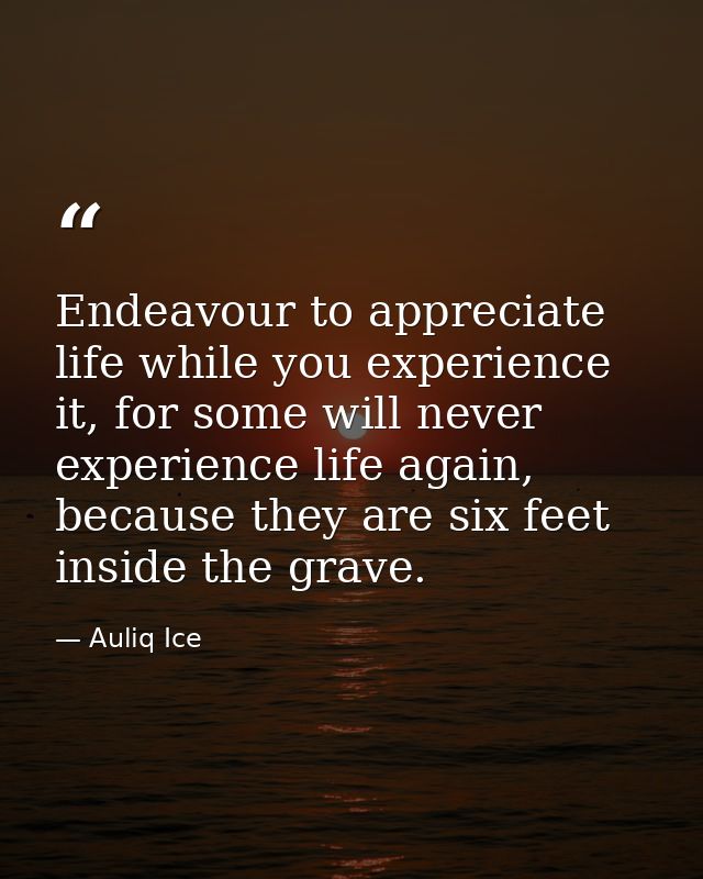 Endeavour to appreciate life while you experience it, for some will never experience life again, because they are six fe — Auliq Ice