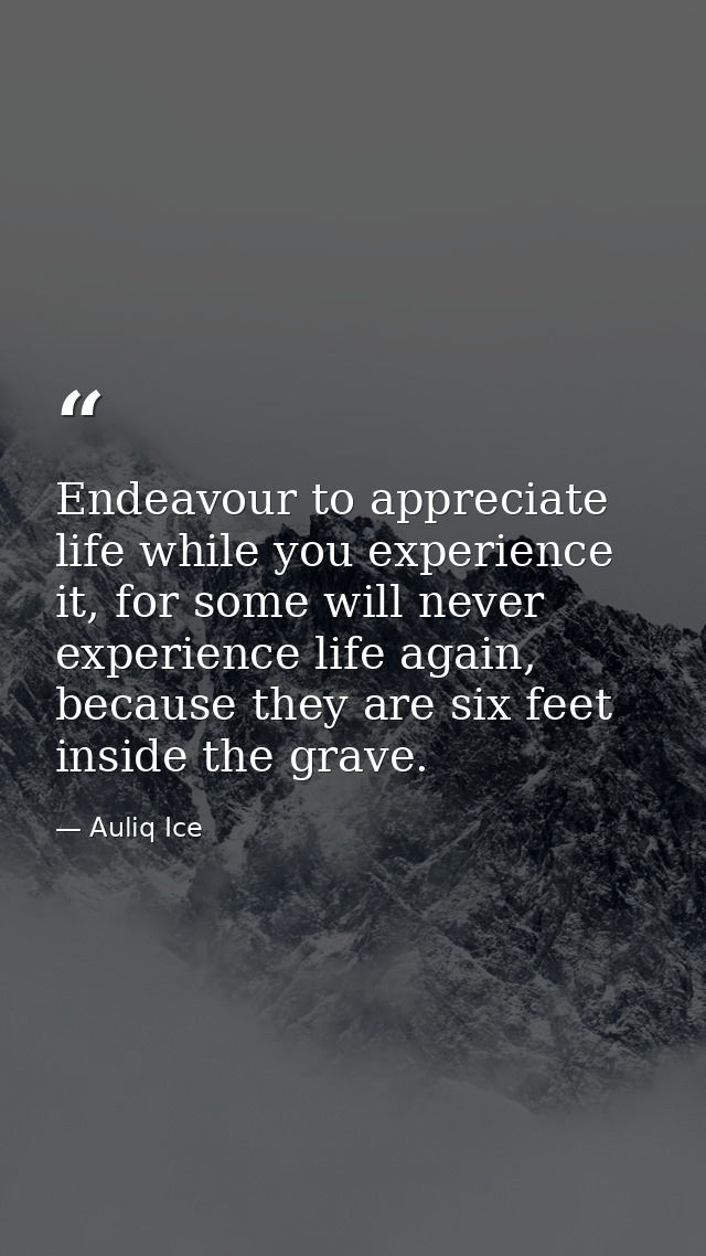 Endeavour to appreciate life while you experience it, for some will never experience life again, because they are six fe — Auliq Ice