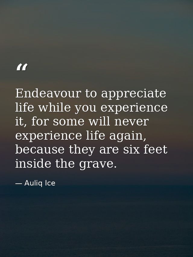 Endeavour to appreciate life while you experience it, for some will never experience life again, because they are six fe — Auliq Ice