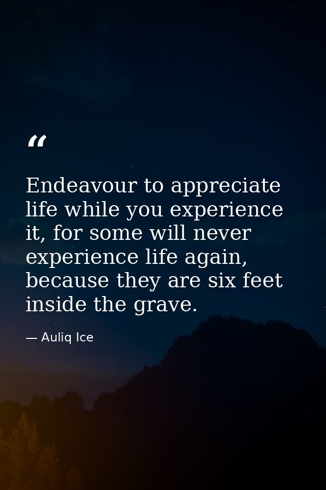 Endeavour to appreciate life while you experience it, for some will never experience life again, because they are six fe — Auliq Ice