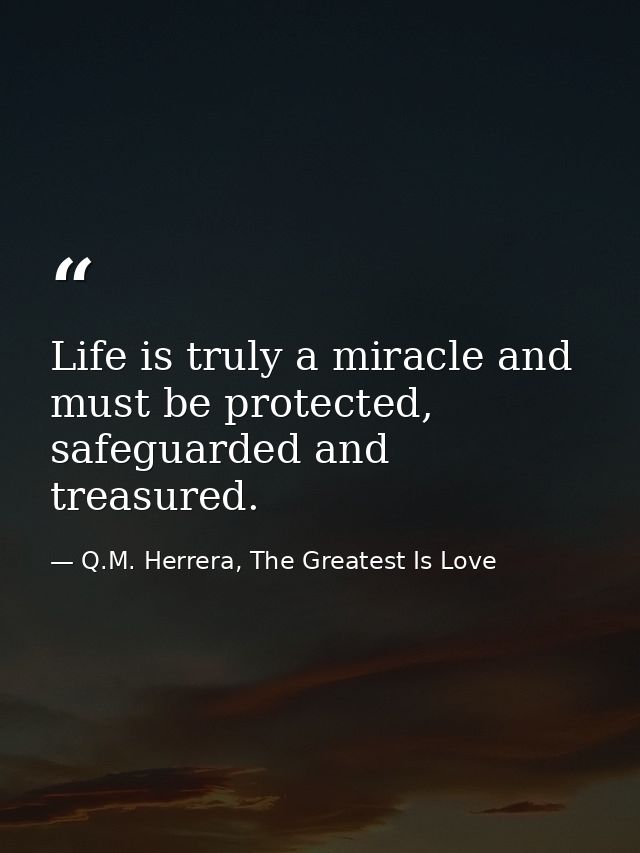 Life is truly a miracle and must be protected, safeguarded and treasured. — Q.M. Herrera, The Greatest Is Love