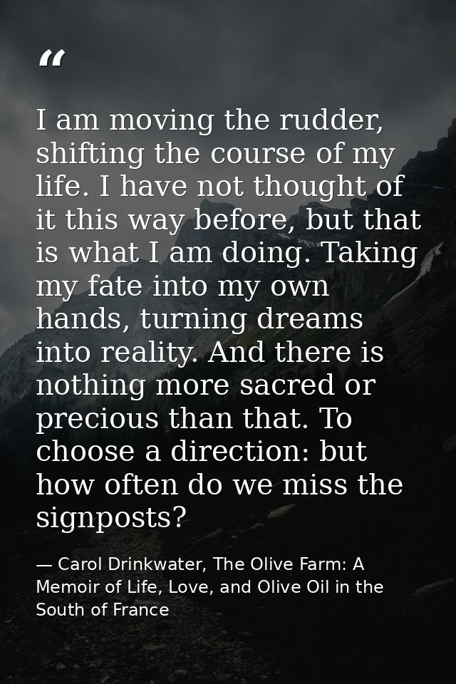I am moving the rudder, shifting the course of my life. I have not thought of it this way before, but that is what I am  — Carol Drinkwater, The Olive Farm: A Memoir of Life, Love, and Olive Oil in the South of France