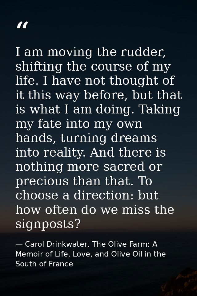 I am moving the rudder, shifting the course of my life. I have not thought of it this way before, but that is what I am  — Carol Drinkwater, The Olive Farm: A Memoir of Life, Love, and Olive Oil in the South of France