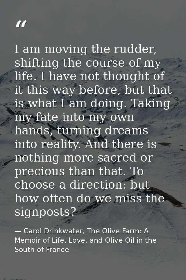 I am moving the rudder, shifting the course of my life. I have not thought of it this way before, but that is what I am  — Carol Drinkwater, The Olive Farm: A Memoir of Life, Love, and Olive Oil in the South of France