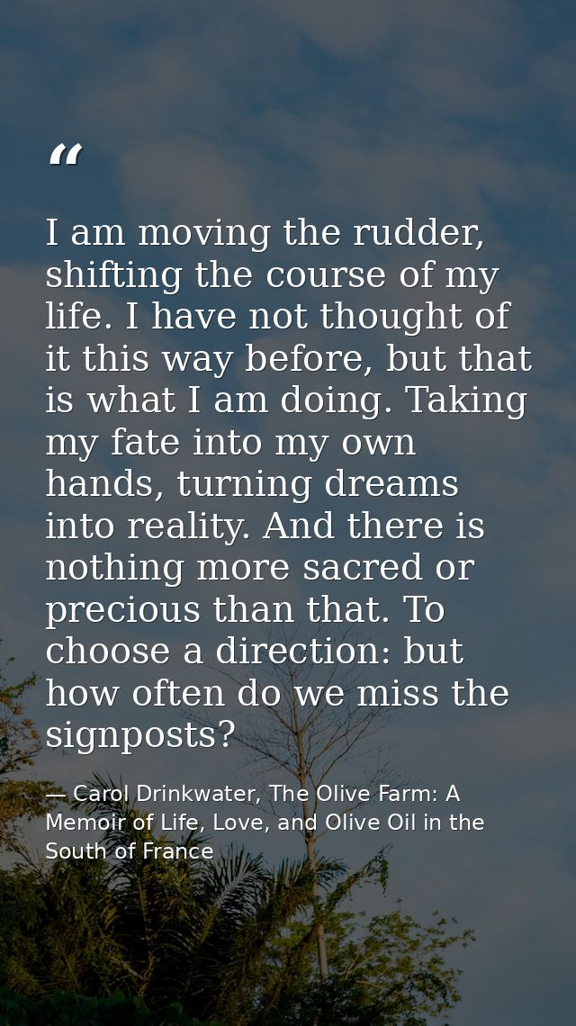 I am moving the rudder, shifting the course of my life. I have not thought of it this way before, but that is what I am  — Carol Drinkwater, The Olive Farm: A Memoir of Life, Love, and Olive Oil in the South of France