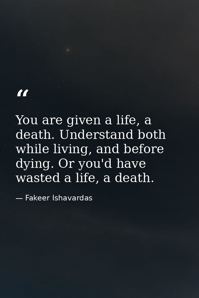 You are given a life, a death. Understand both while living, and before dying. Or you'd have wasted a life, a death. — Fakeer Ishavardas