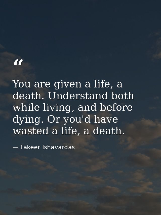 You are given a life, a death. Understand both while living, and before dying. Or you'd have wasted a life, a death. — Fakeer Ishavardas