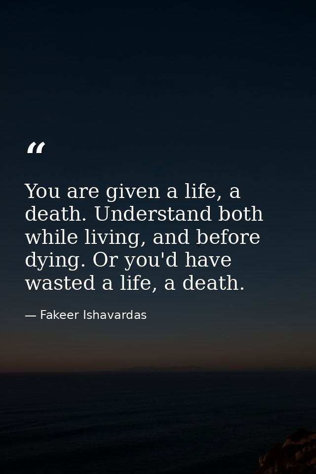 You are given a life, a death. Understand both while living, and before dying. Or you'd have wasted a life, a death. — Fakeer Ishavardas