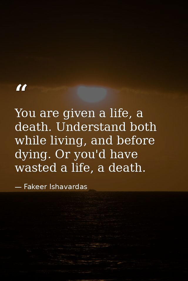 You are given a life, a death. Understand both while living, and before dying. Or you'd have wasted a life, a death. — Fakeer Ishavardas