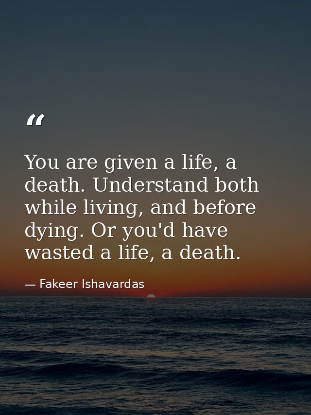 You are given a life, a death. Understand both while living, and before dying. Or you'd have wasted a life, a death. — Fakeer Ishavardas