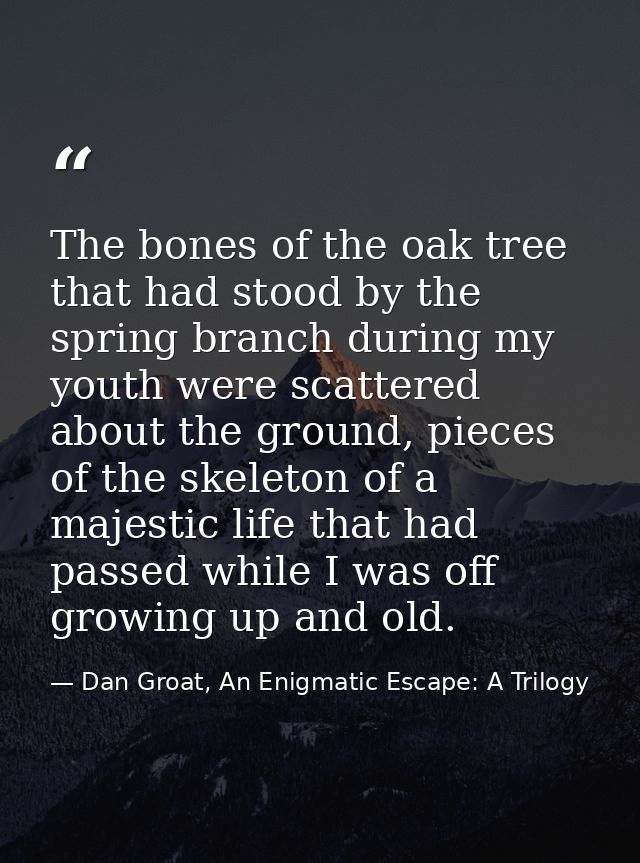 The bones of the oak tree that had stood by the spring branch during my youth were scattered about the ground, pieces of — Dan Groat, An Enigmatic Escape: A Trilogy