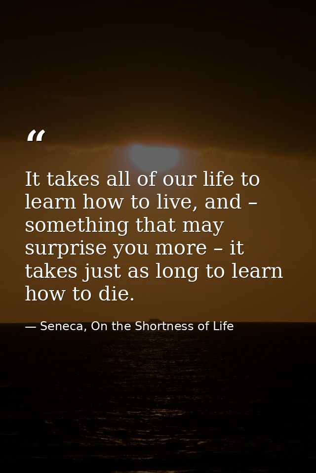 It takes all of our life to learn how to live, and – something that may surprise you more – it takes just as long to lea — Seneca, On the Shortness of Life