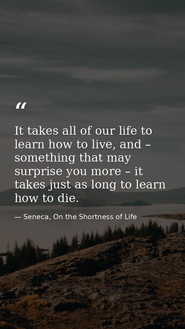 It takes all of our life to learn how to live, and – something that may surprise you more – it takes just as long to lea — Seneca, On the Shortness of Life
