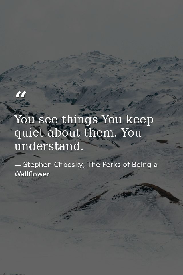 You see things You keep quiet about them. You understand. — Stephen Chbosky, The Perks of Being a Wallflower