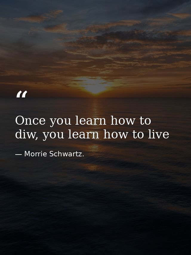 Once you learn how to diw, you learn how to live — Morrie Schwartz.
