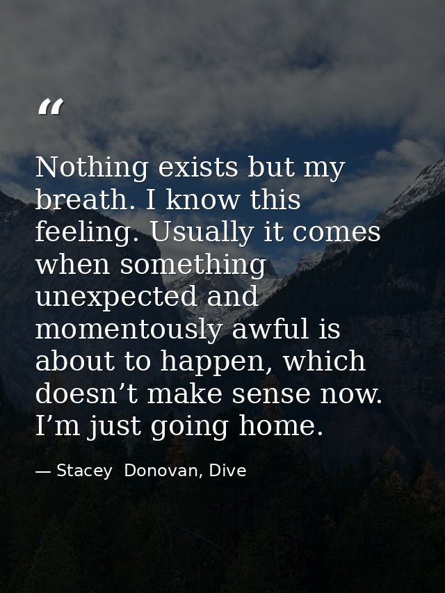 Nothing exists but my breath. I know this feeling. Usually it comes when something unexpected and momentously awful is a — Stacey  Donovan, Dive