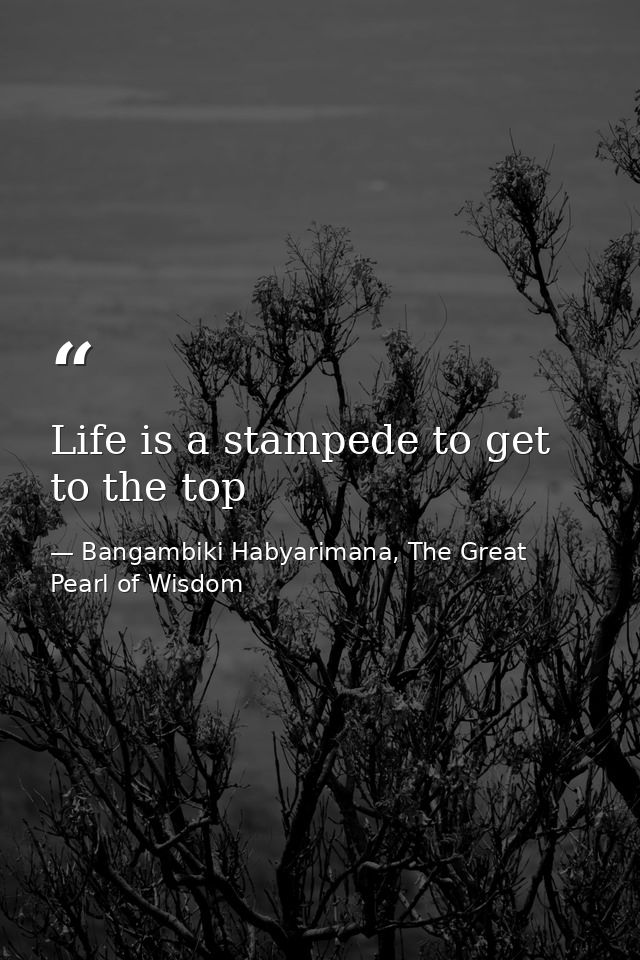 Life is a stampede to get to the top — Bangambiki Habyarimana, The Great Pearl of Wisdom