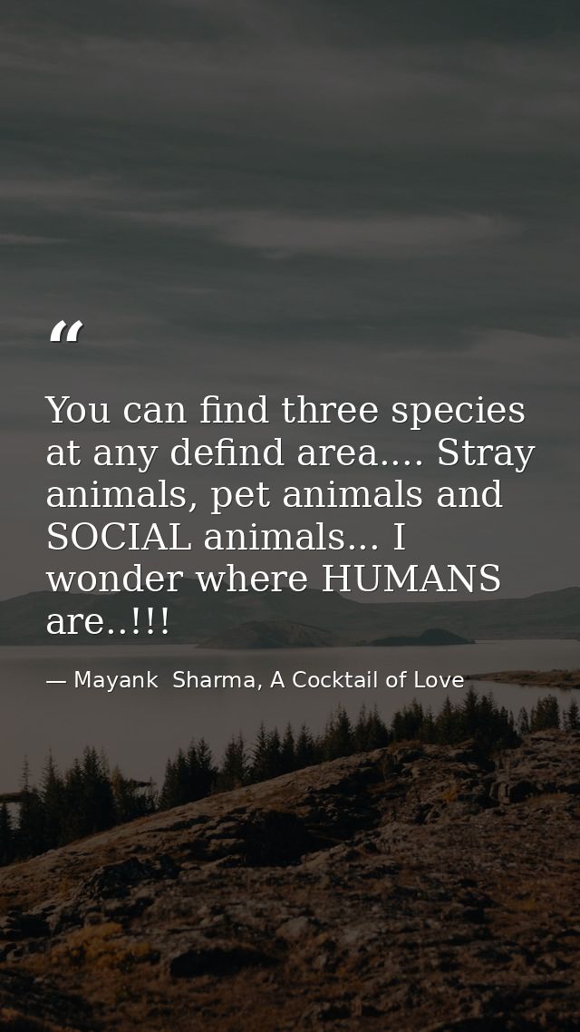 You can find three species at any defind area.... Stray animals, pet animals and SOCIAL animals... I wonder where HUMANS — Mayank  Sharma, A Cocktail of Love