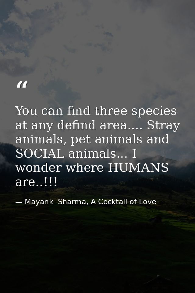 You can find three species at any defind area.... Stray animals, pet animals and SOCIAL animals... I wonder where HUMANS — Mayank  Sharma, A Cocktail of Love
