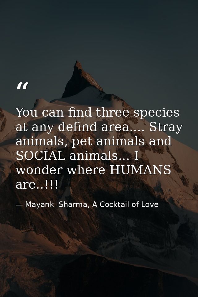 You can find three species at any defind area.... Stray animals, pet animals and SOCIAL animals... I wonder where HUMANS — Mayank  Sharma, A Cocktail of Love