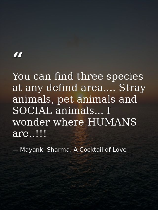 You can find three species at any defind area.... Stray animals, pet animals and SOCIAL animals... I wonder where HUMANS — Mayank  Sharma, A Cocktail of Love