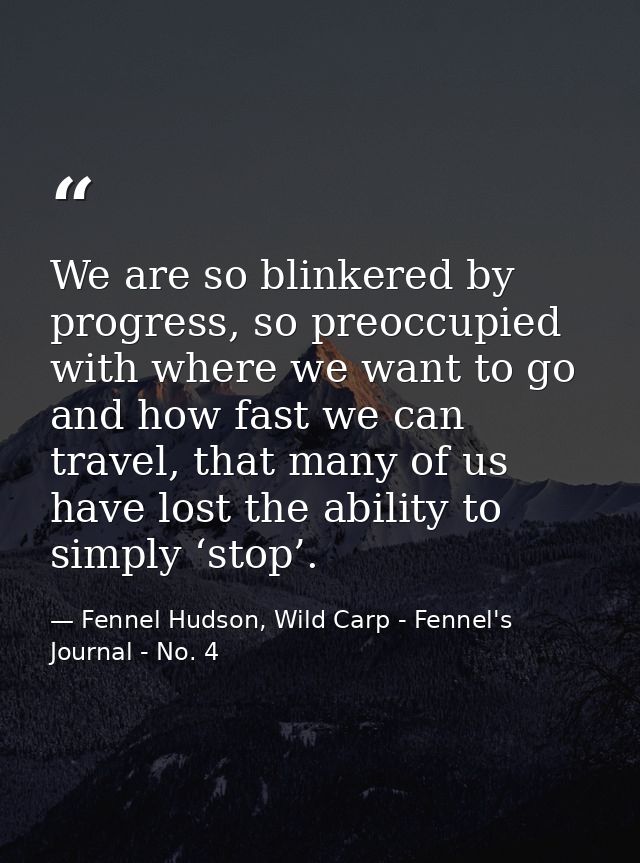 We are so blinkered by progress, so preoccupied with where we want to go and how fast we can travel, that many of us hav — Fennel Hudson, Wild Carp - Fennel's Journal - No. 4