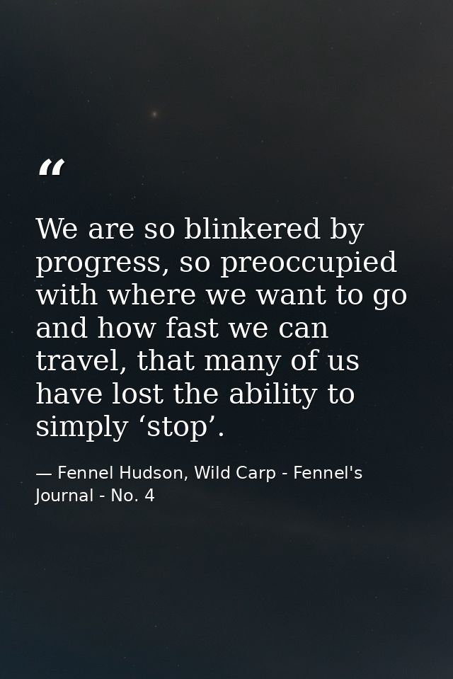 We are so blinkered by progress, so preoccupied with where we want to go and how fast we can travel, that many of us hav — Fennel Hudson, Wild Carp - Fennel's Journal - No. 4