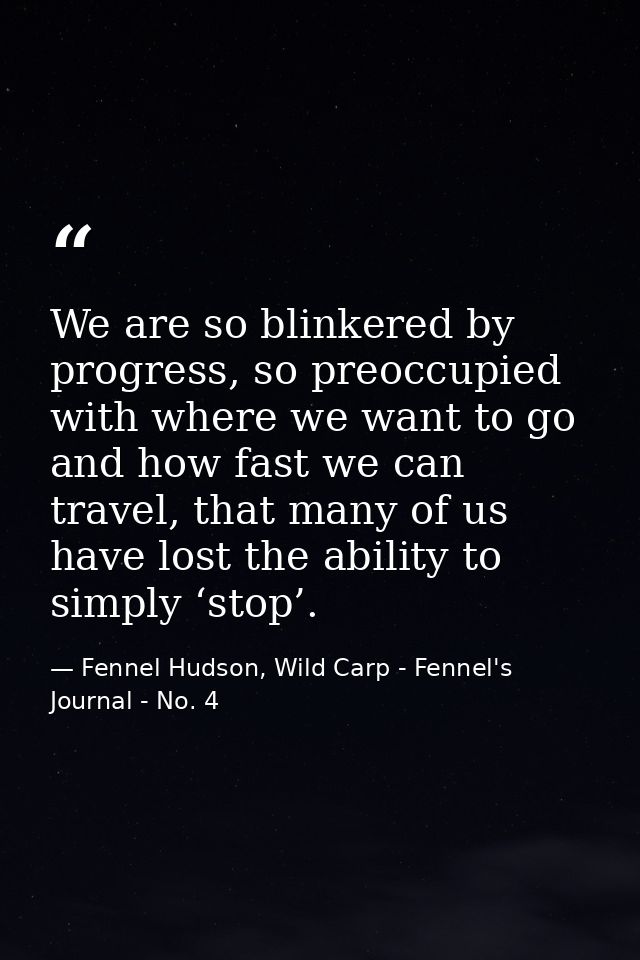 We are so blinkered by progress, so preoccupied with where we want to go and how fast we can travel, that many of us hav — Fennel Hudson, Wild Carp - Fennel's Journal - No. 4