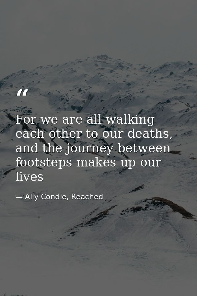 For we are all walking each other to our deaths, and the journey between footsteps makes up our lives — Ally Condie, Reached